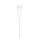 Стерео-гарнитура Apple EarPods with Type-C (MTJY3)